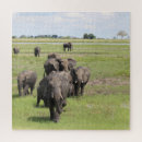 Recherche de éléphants puzzles Safari
