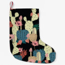 Recherche de plantes chaussette de noël Cactus