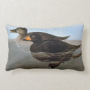 Recherche de audubon coussins Audubon de john james