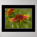 Suche nach indische decke poster Blume