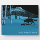 Recherche de loups plaques Pour tous