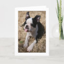 Suche nach zungen karten Welpe