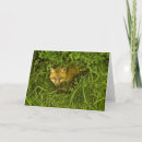 Recherche de curiosité vœux cartes Faune