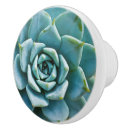 Suche nach seafoam grün Aqua