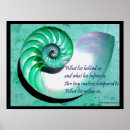 Suche nach nautilus seashell poster Nautisch