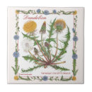 Recherche de fleur pissenlit carreaux Floral