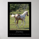 Suche nach spanish flag poster Horse