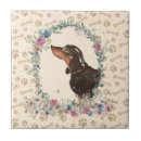 Recherche de chiens carreaux Chien mignon