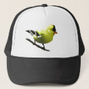 Recherche de aviaire casquettes Pour tous