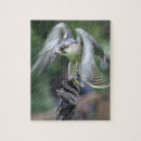 Suche nach falken puzzle Federn