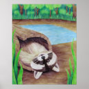 Recherche de ratons laveurs posters Pour tous