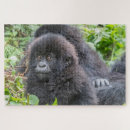 Suche nach gorilla puzzle Tiere