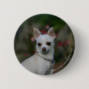 Recherche de canin badges Principal et épaules