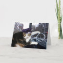 Recherche de humour de chauffeur bus Mignon