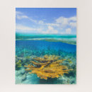 Recherche de corail puzzles Sous l'eau
