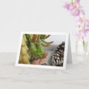 Suche nach nymphen karten Grün