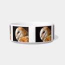 Recherche de hibou animaux articles Chouette