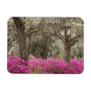 Recherche de les etats unis magnets Amérique du nord