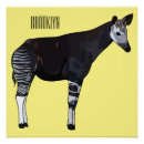 Suche nach okapi poster Waldgiraffe