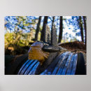 Suche nach verzierung poster Alt