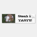 Suche nach steaks autoaufkleber Rindfleisch