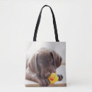 Suche nach schokolade labrador taschen Haustier