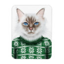 Recherche de chandail magnets Chat
