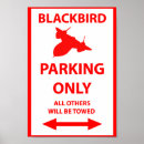Suche nach amsel poster Sr 71