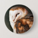Recherche de oiseau de proie badges Oiseaux