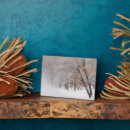 Suche nach bäume auf fotoplatten Baum
