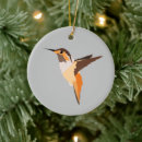 Suche nach kolibris ornamente Verzierung