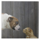 Recherche de vue face carreaux Chien