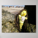 Suche nach delfin poster baby kinder Für kinder