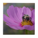 Suche nach der kosmos fliesen Blume