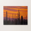 Recherche de saguaro puzzles Paysage