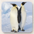 Suche nach kaiser pinguin untersetzer Pinguine