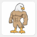 Recherche de hawk autocollants Sports