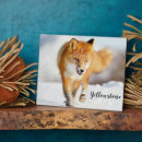 Suche nach fuchs fotoplatten Natur