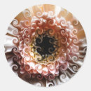 Recherche de marguerite rose gerbera autocollants Nature