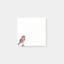 Suche nach wurm poster Rotkehlchen