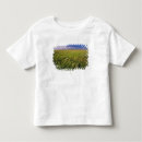 Suche nach nordost tshirts Landschaft