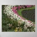 Suche nach mikro poster Blume