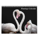 Recherche de de birder bureau fournitures Animaux