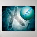 Suche nach mikrobiologie poster Medizin