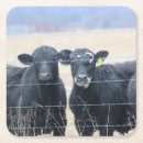 Suche nach vieh untersetzer Landwirtschaft