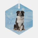 Suche nach border collie ornamente Tier