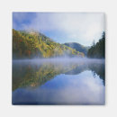 Recherche de miroir magnets Parc