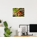 Suche nach ladybug poster Coccinellidae