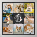 Suche nach verlust des hundes poster Im liebenden gedächtnis