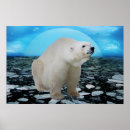 Suche nach arktischer bär poster Gefährdet